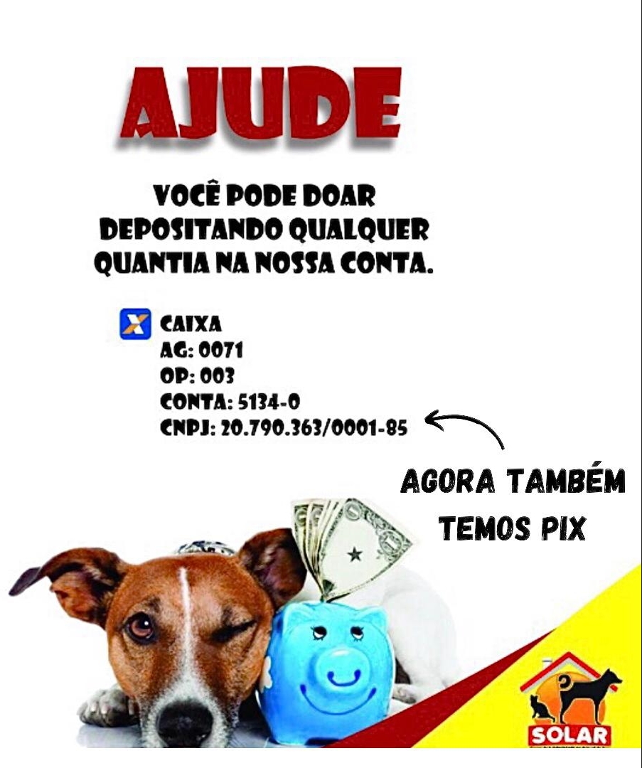 Abrigos de animais ficam destruídos por causa das fortes chuvas em Jequié