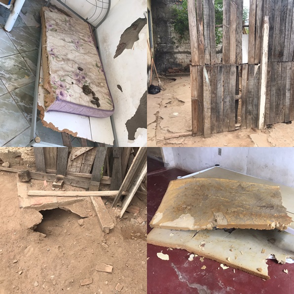 Abrigos de animais ficam destruídos por causa das fortes chuvas 