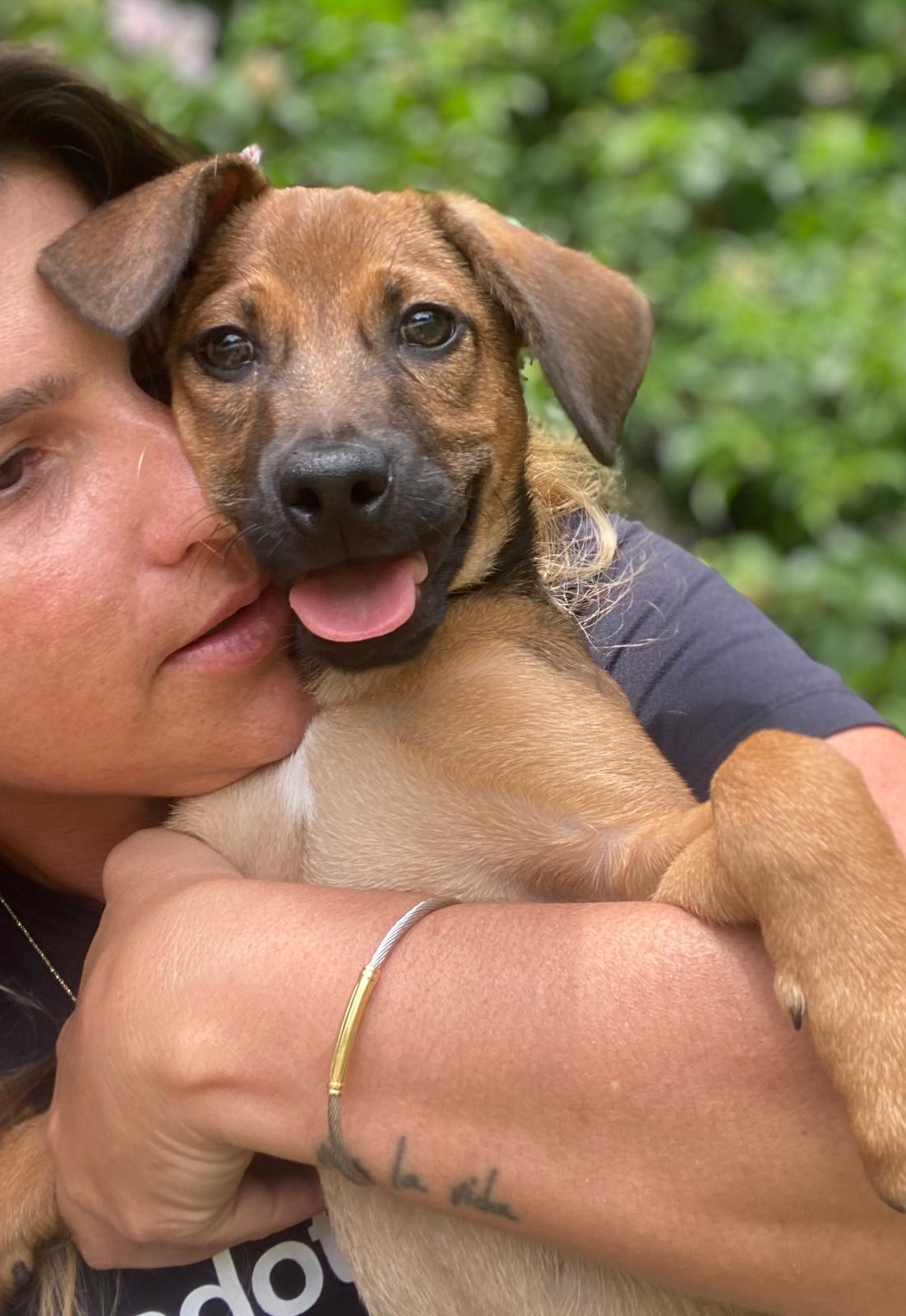 Cachorro recebendo amor