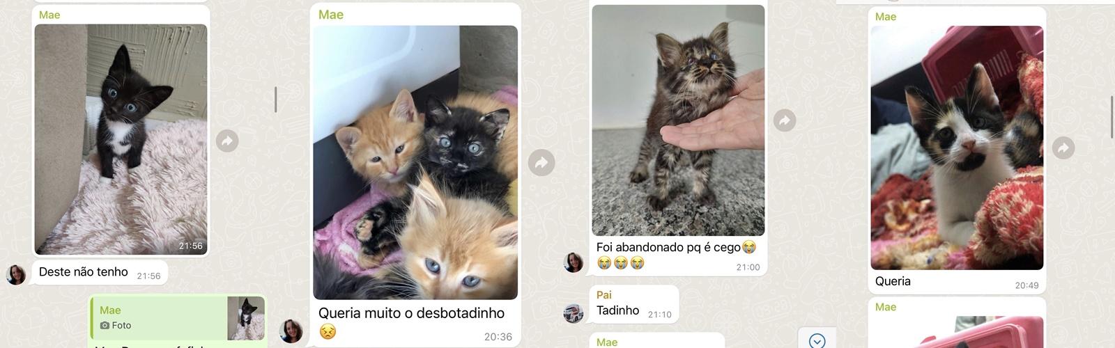 Jovem mostra como foi ensinada pelos pais a tratar os animais e vídeo repercute; assista