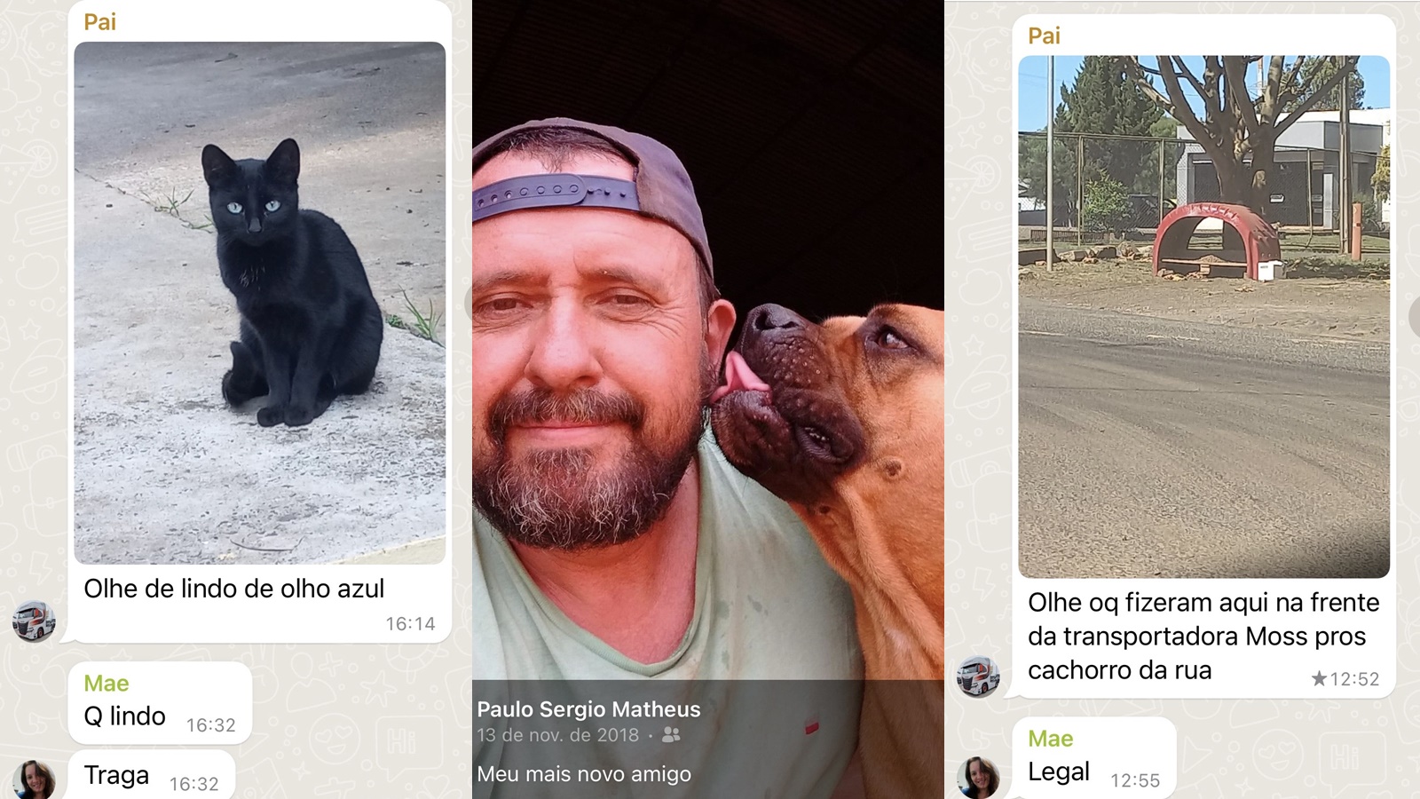 Jovem mostra como foi ensinada pelos pais a tratar os animais e vídeo repercute; assista