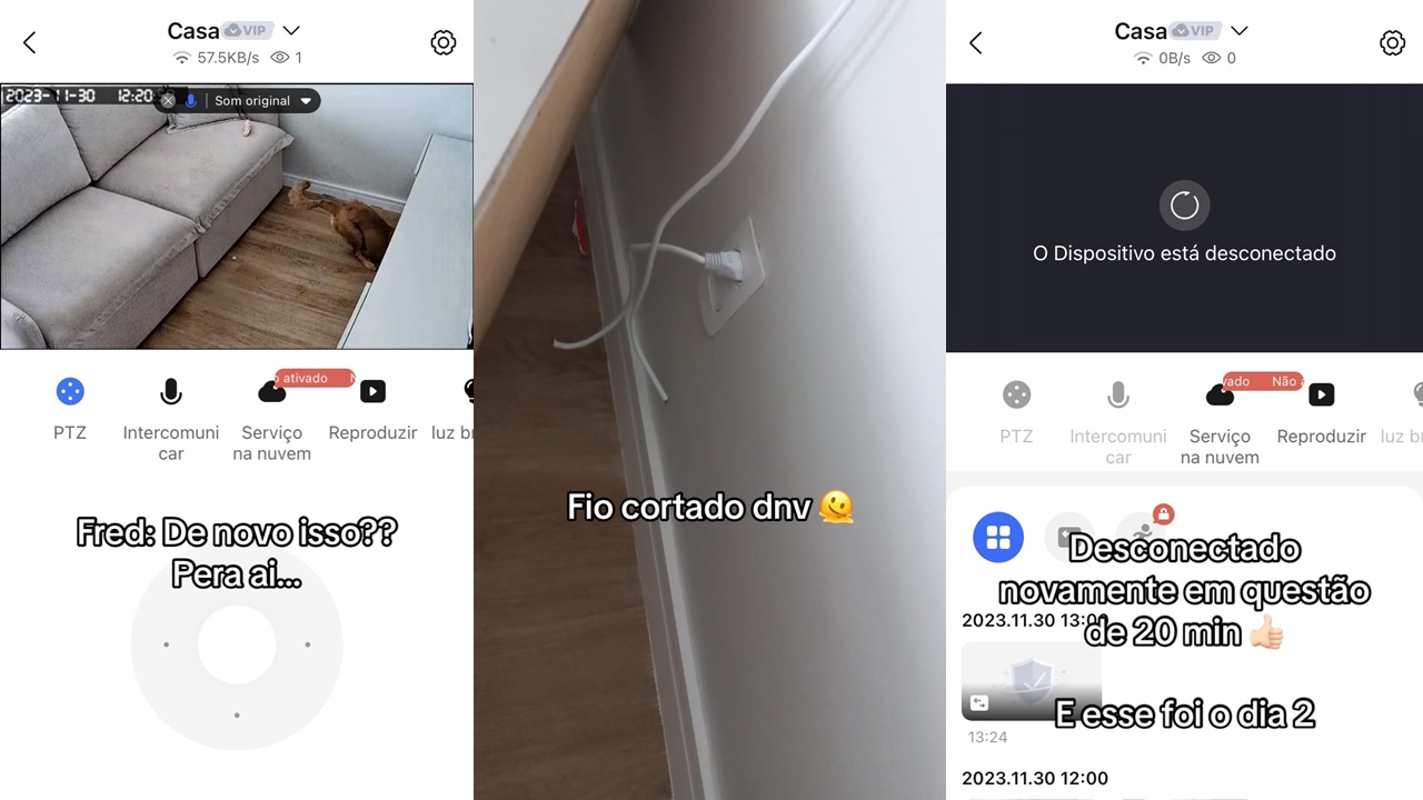 Ele ataca novamente! Mulher se dá mal ao tentar novo plano para vigiar pet; assista