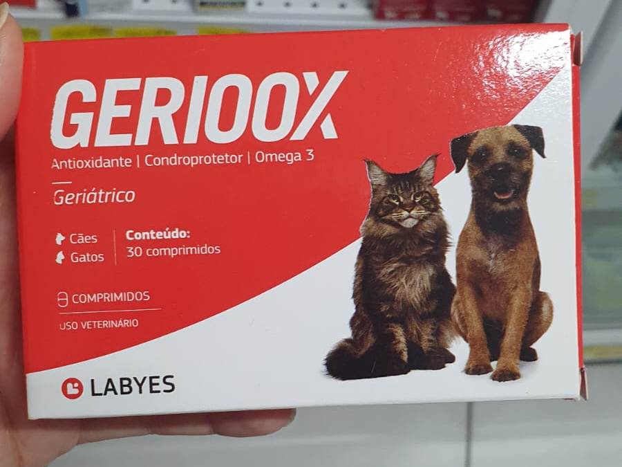 Conheça as principais doenças em cachorros idosos e confira produtos que podem ajudar o pet nessa fase