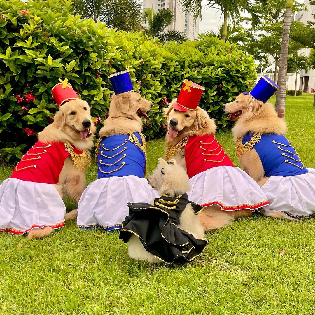 “Paquitas da Xuxa”