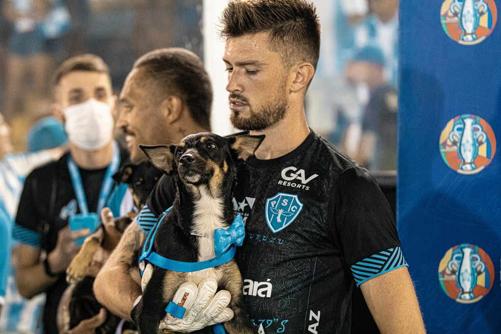 Torcedora adota cachorro que entrou em campo com jogadores em ação do Paysandu 