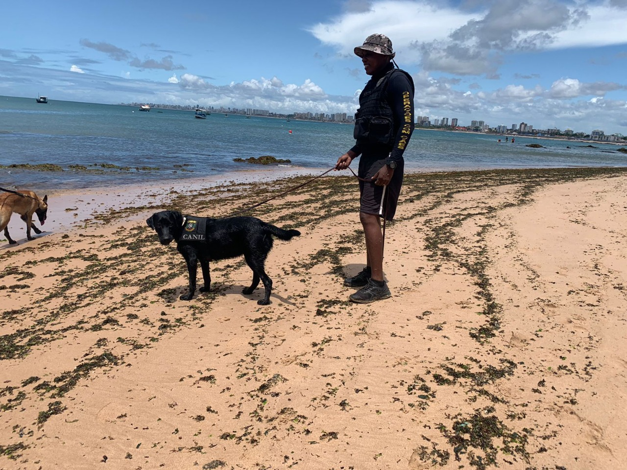 Batalhão de Choque treinam cães farejadores para atuar em locais externos