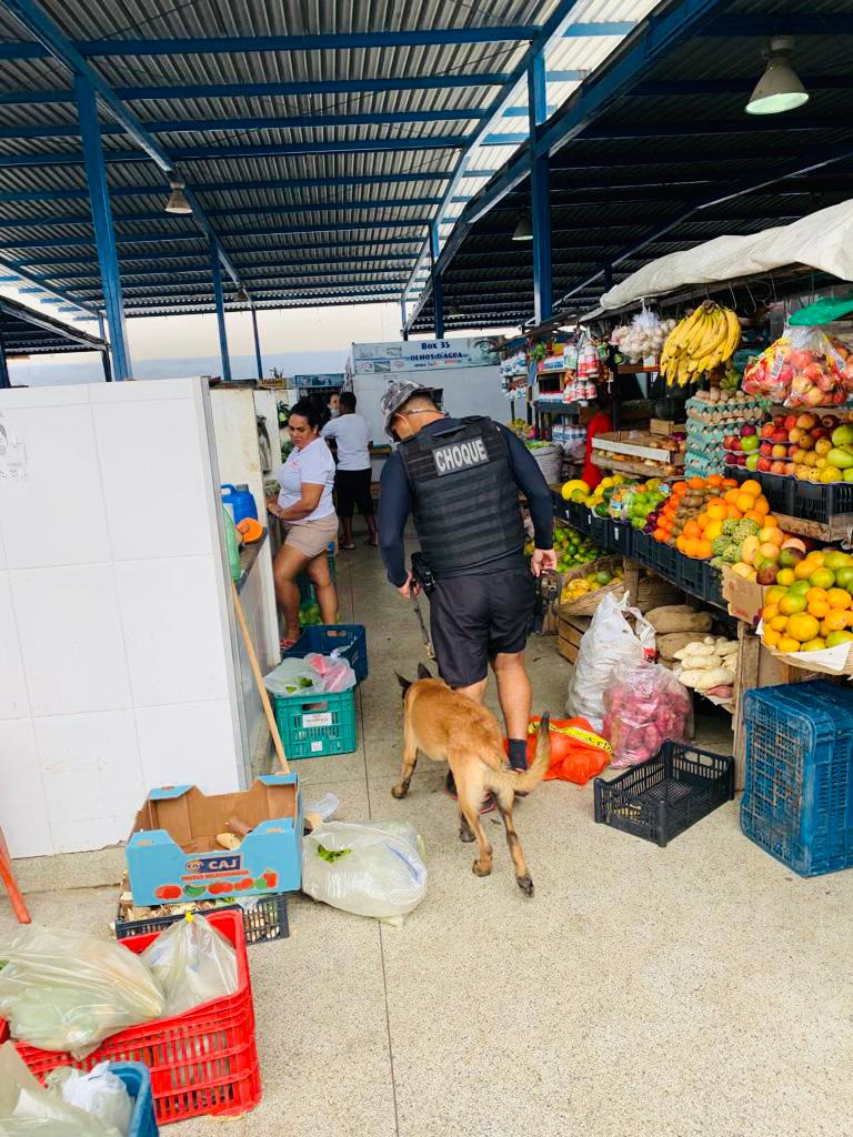 Batalhão de Choque treinam cães farejadores