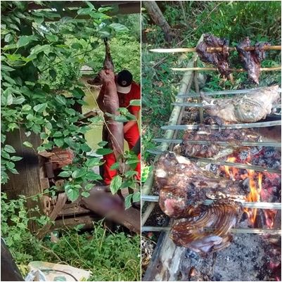 Investigações apontam que suspeito fez churrasco da carne de cachorro