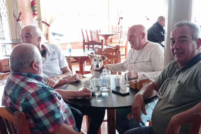 Esbanjando simpatia, cachorro vira atração principal em bar ao fazer companhia a clientes na mesa