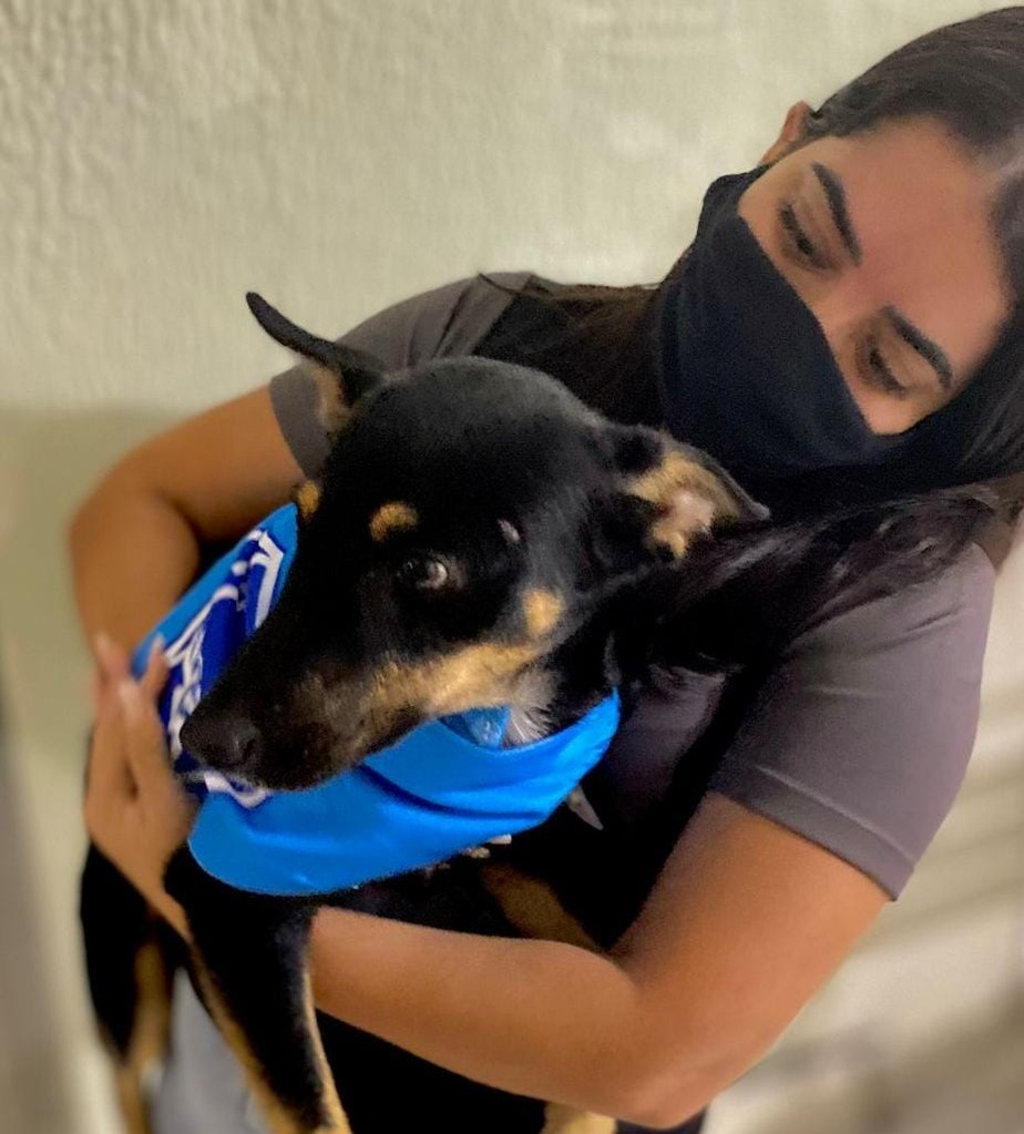 Torcedora do Paysandu adota cachorro que entrou em campo com jogadores