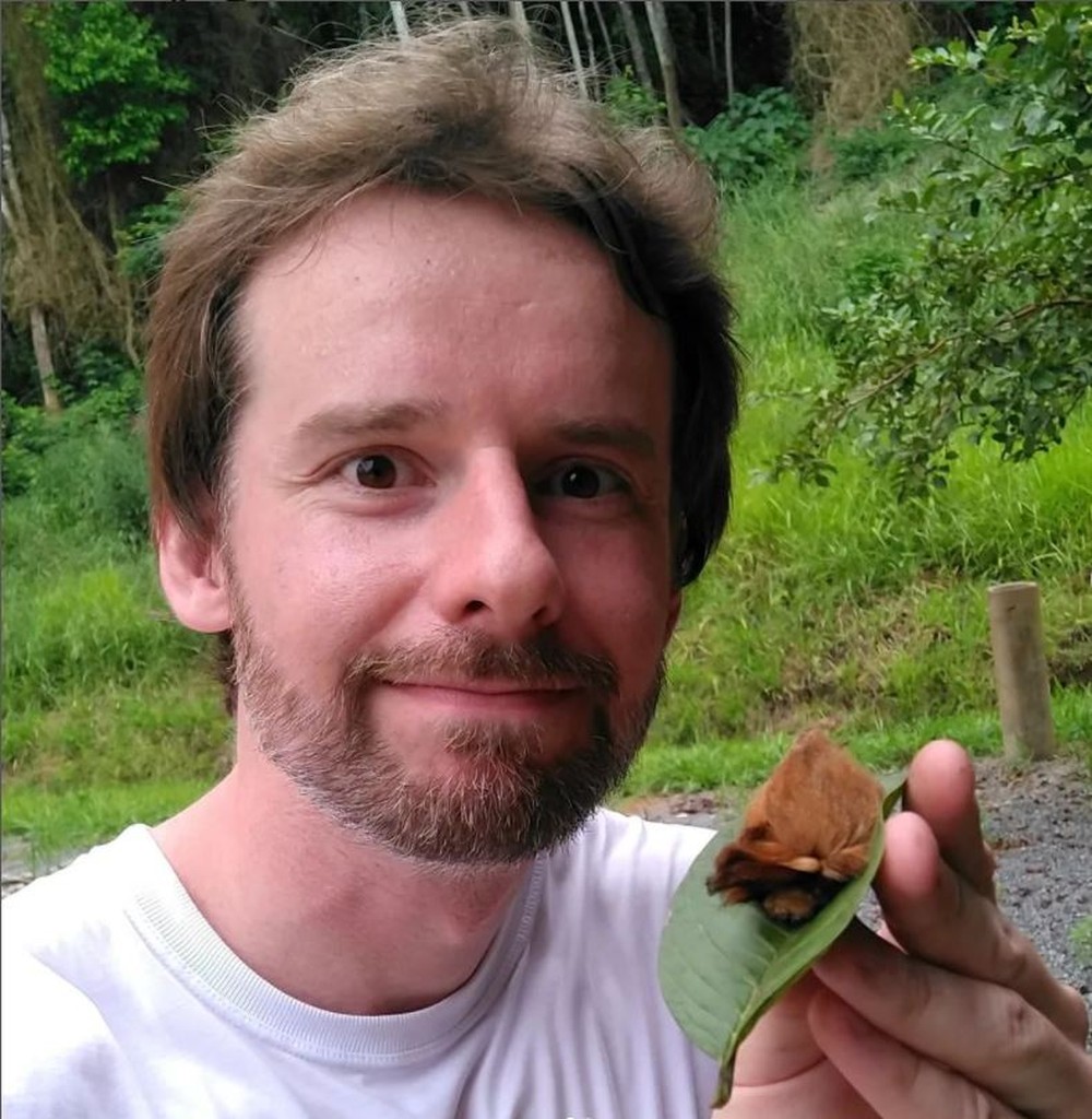 Depois do casulo, lagarta-cachorrinha vira uma mariposa