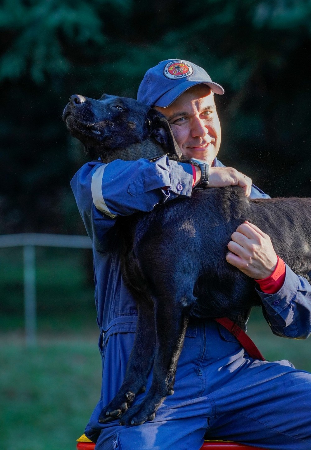 Cães farejadores são recrutados 