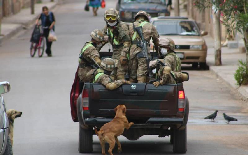 Soldados adotam cachorros que seguiam tropa militar durante ronda