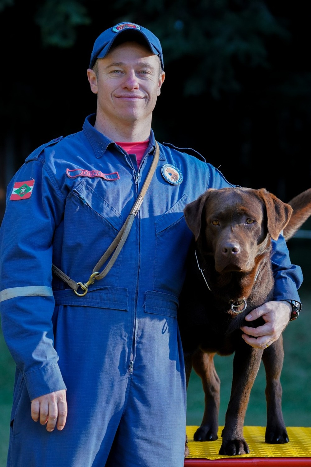 Cães farejadores são recrutados para ajudar em resgate