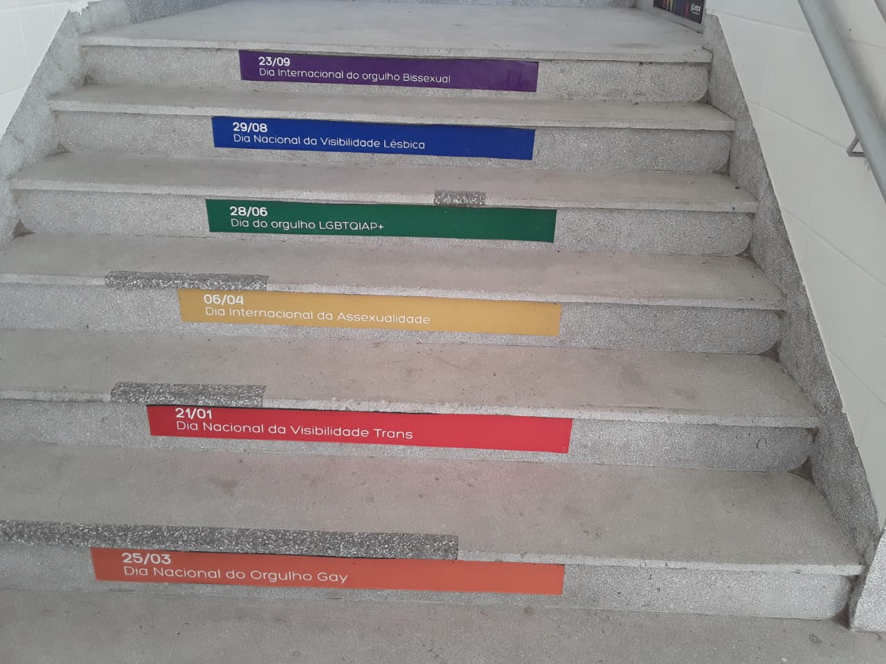 Plotagem LGBTQIA+ em escadaria de colégio gera polêmica: “Repúdio a essa militância que não nos representa”