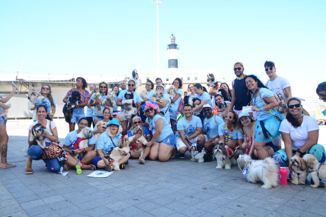 carnaval pet
