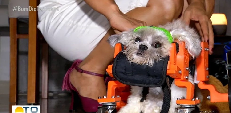 Seu bicho no BNews Pet  Você tem uma história interessante ou engraçada de seu pet? Conte para