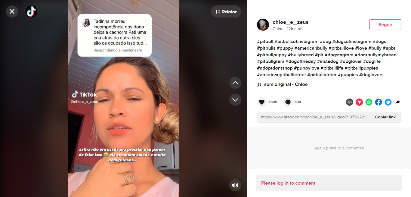 Pit bull famosa morre após parto e tutora é criticada: 'incompetência' 