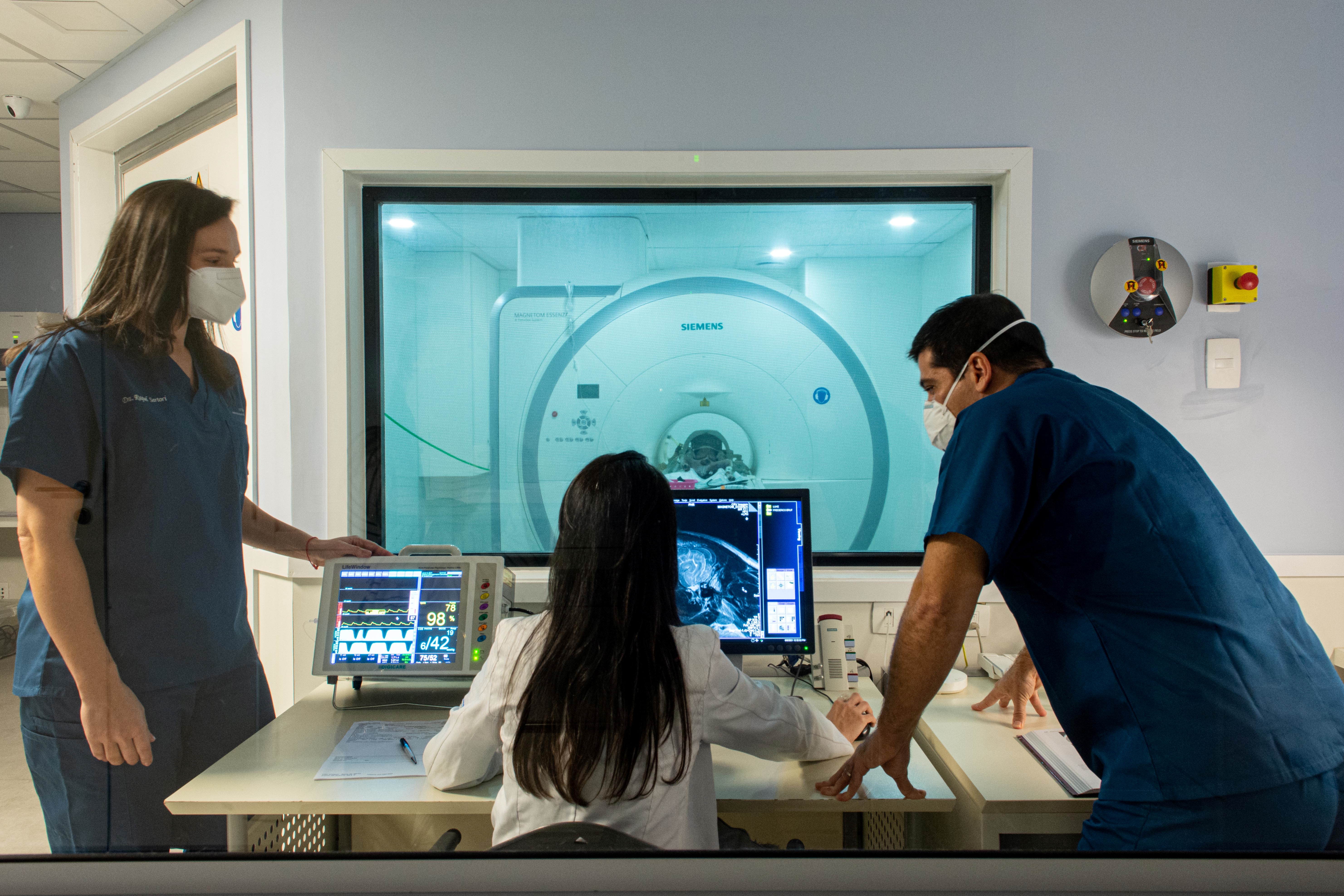 Você sabe quais os principais exames para gatos? Veja o que diz especialista 