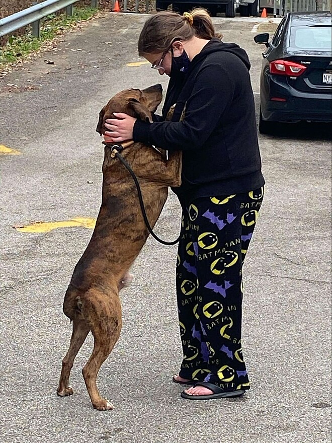 Cachorro de abrigo ajuda menina com crise de ansiedade e acaba sendo adotado por jovem