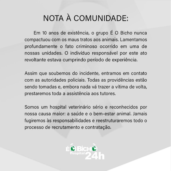 Funcionário de clínica veterinária é preso suspeito de matar cão e dispara: “Ele me estressou”; veja vídeo