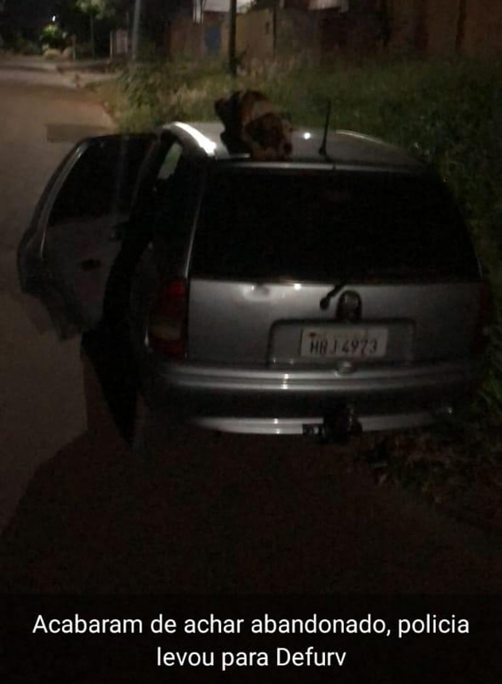 Cachorro vigia carro furtado e é adotado por dono do veículo