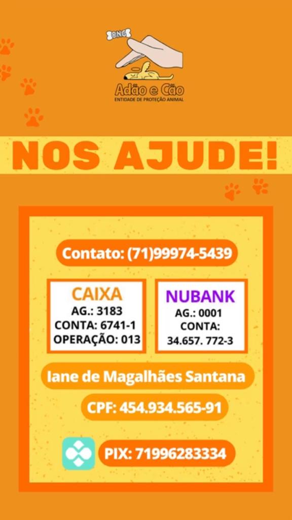 Abrigo de animais passa por sufoco após precisar deixar sítio que abriga cerca de 300 animais