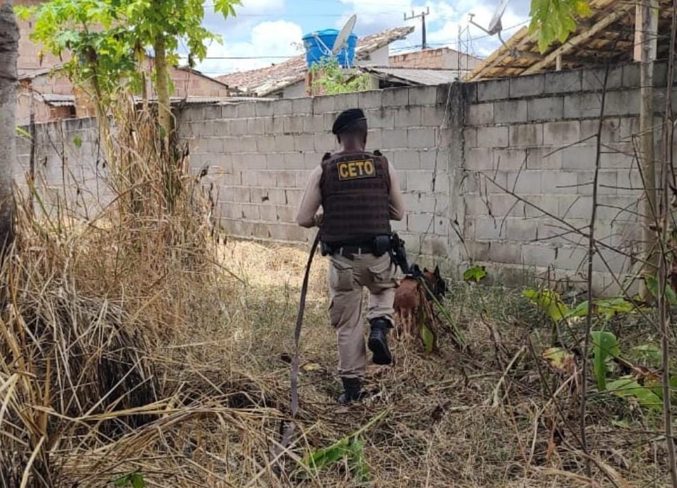 Cadela entrega trio de suspeitos para a polícia na Bahia