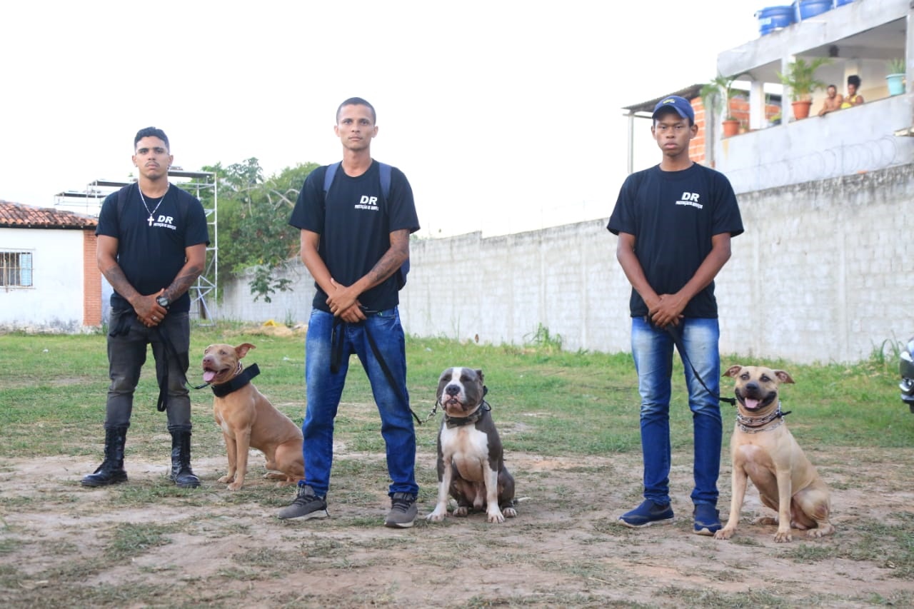 FVS23: Cães fazem patrulha em evento e têm êxito em missão 