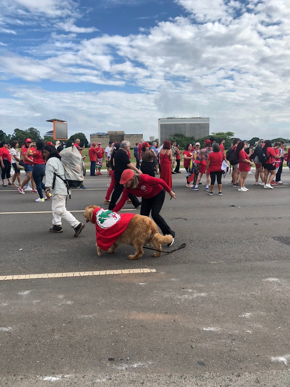 Cães roubam a cena em dia de posse do presidente Lula; veja imagens