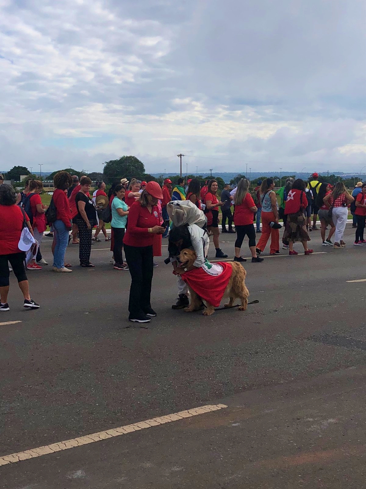 Cães roubam a cena em dia de posse do presidente Lula