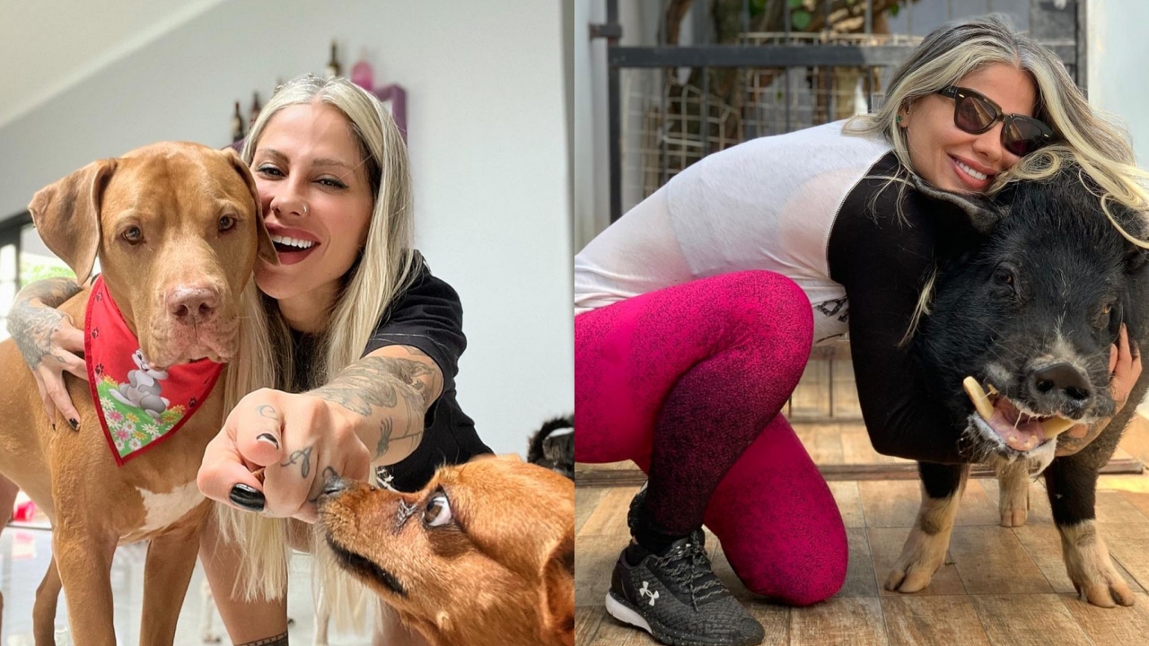 BBB: Saiba se campeã que conquistou público por abraçar causa animal cumpriu promessa de ajudar pets