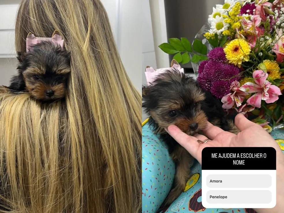 Filha de Renato Gaúcho, Carol Portaluppi mostra presente e pede ajuda de web; confira imagens