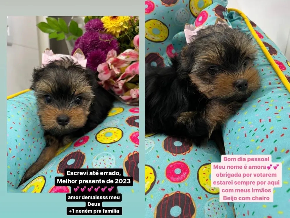 Filha de Renato Gaúcho, Carol Portaluppi mostra presente e pede ajuda de web