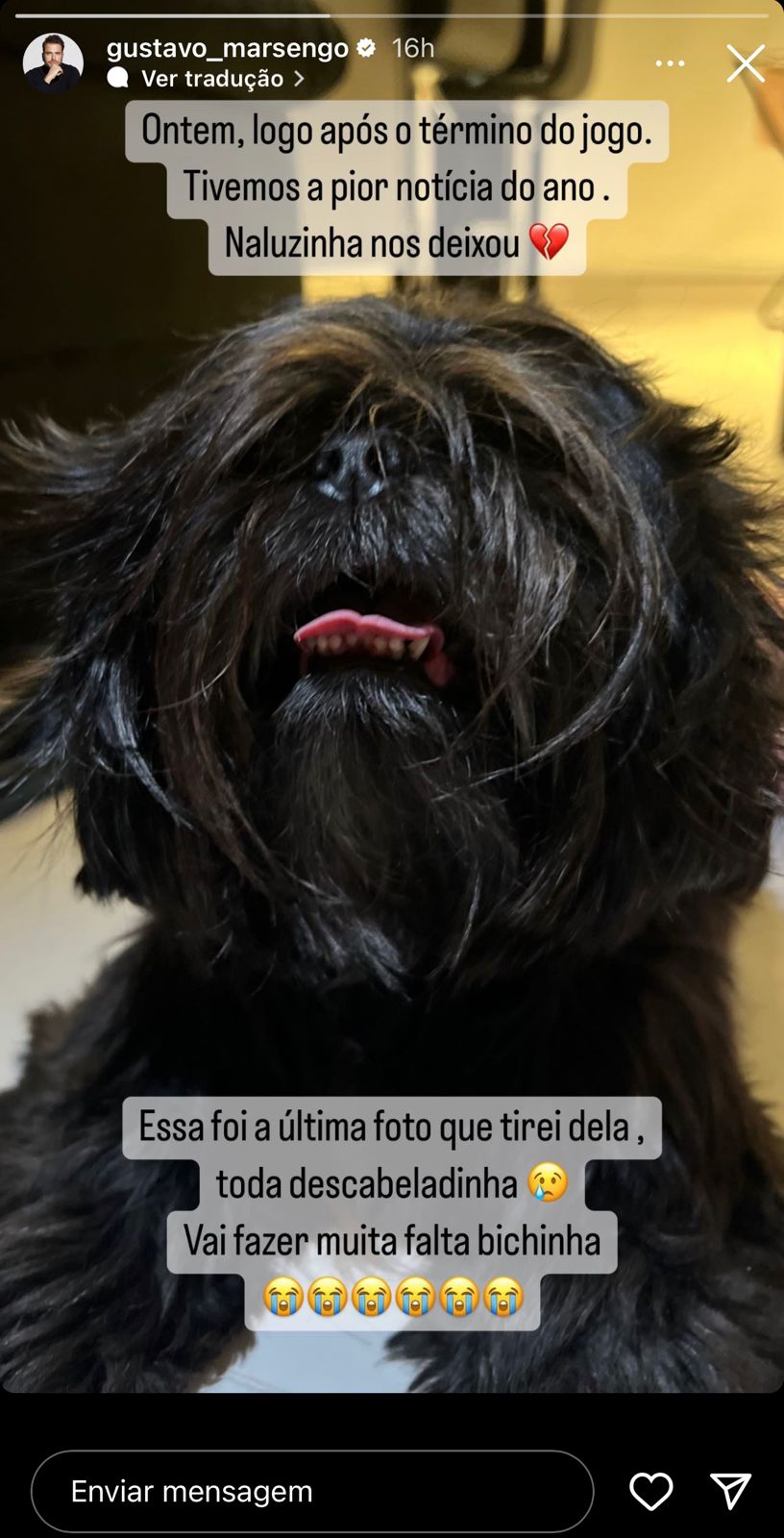 Ex-BBB lamenta morte repentina de cadela: "Perdoa a mamãe"