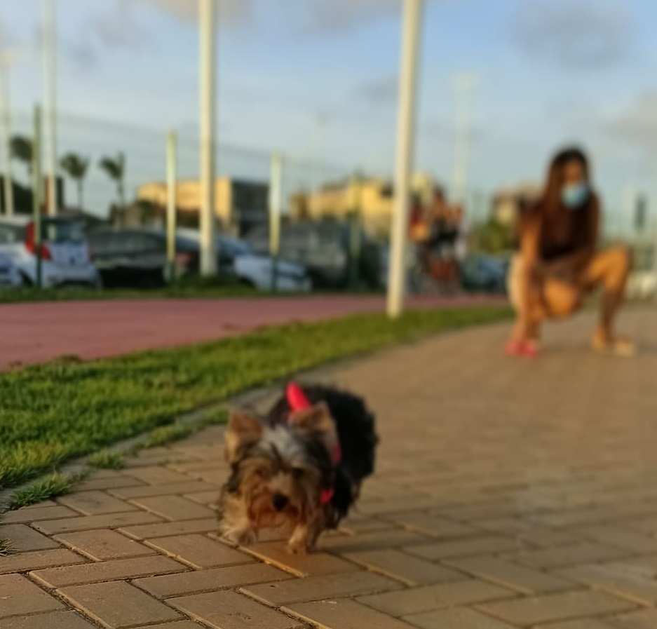 fridinha