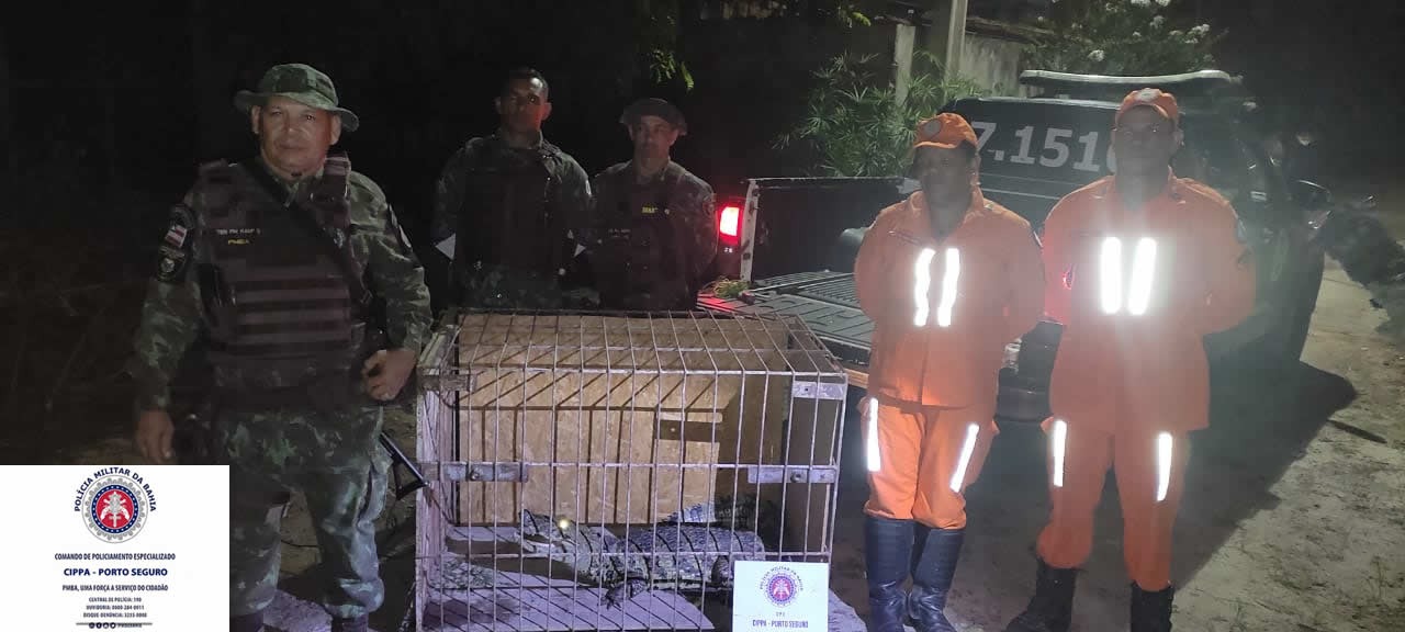 O jacaré assustou os moradores de Eunápolis, no sul da Bahia