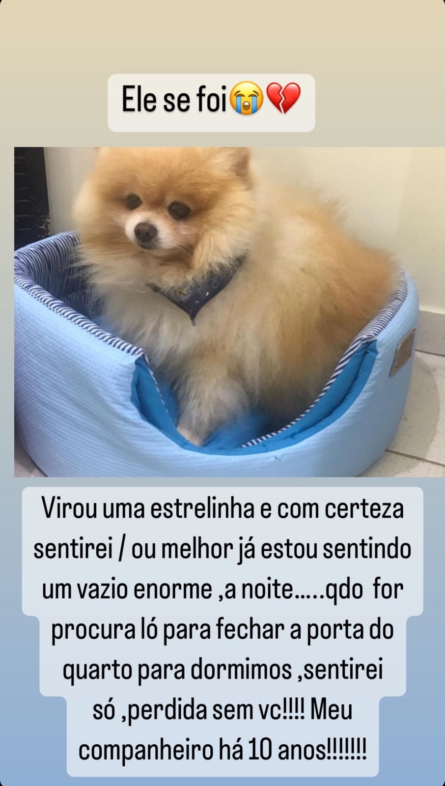 Esposa de Leonardo, Poliana anuncia morte de pet e desabafa: "Perdida sem você"; veja relato 