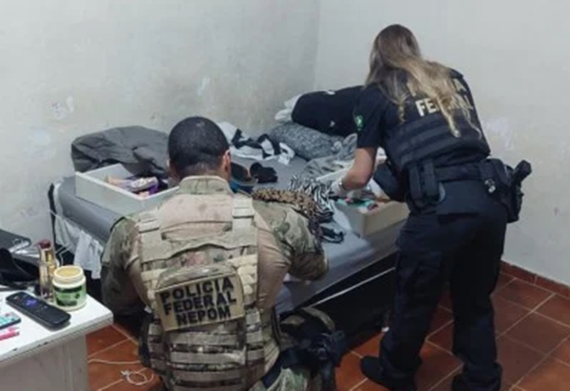 Os abusos sexuais infantis cometidos ocorreram no Rio de Janeiro e foram percebidos durante uma fração de tempo. Foto: Divulgação/Polícia Federal