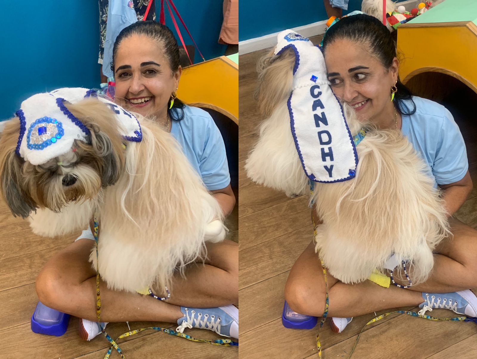 Shopping de Salvador vira circuito de Carnaval para pets neste domingo (29)