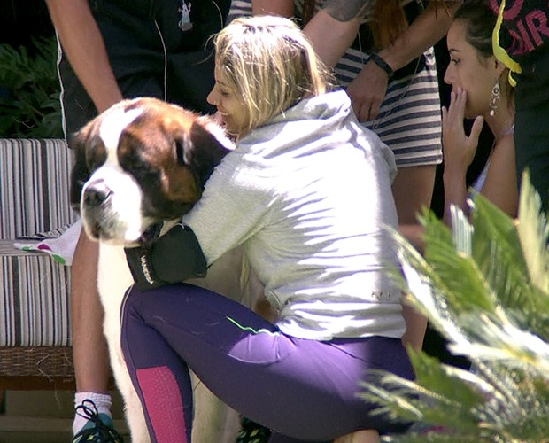 Três cães já passaram pela casa mais vigiada do Brasil; relembre em quais edições