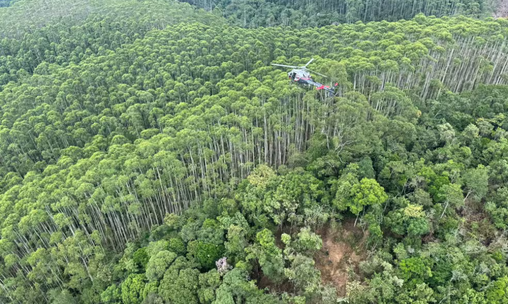 Local onde helicóptero desaparecido foi encontrado é de difícil acesso para pedestres e carros não entram