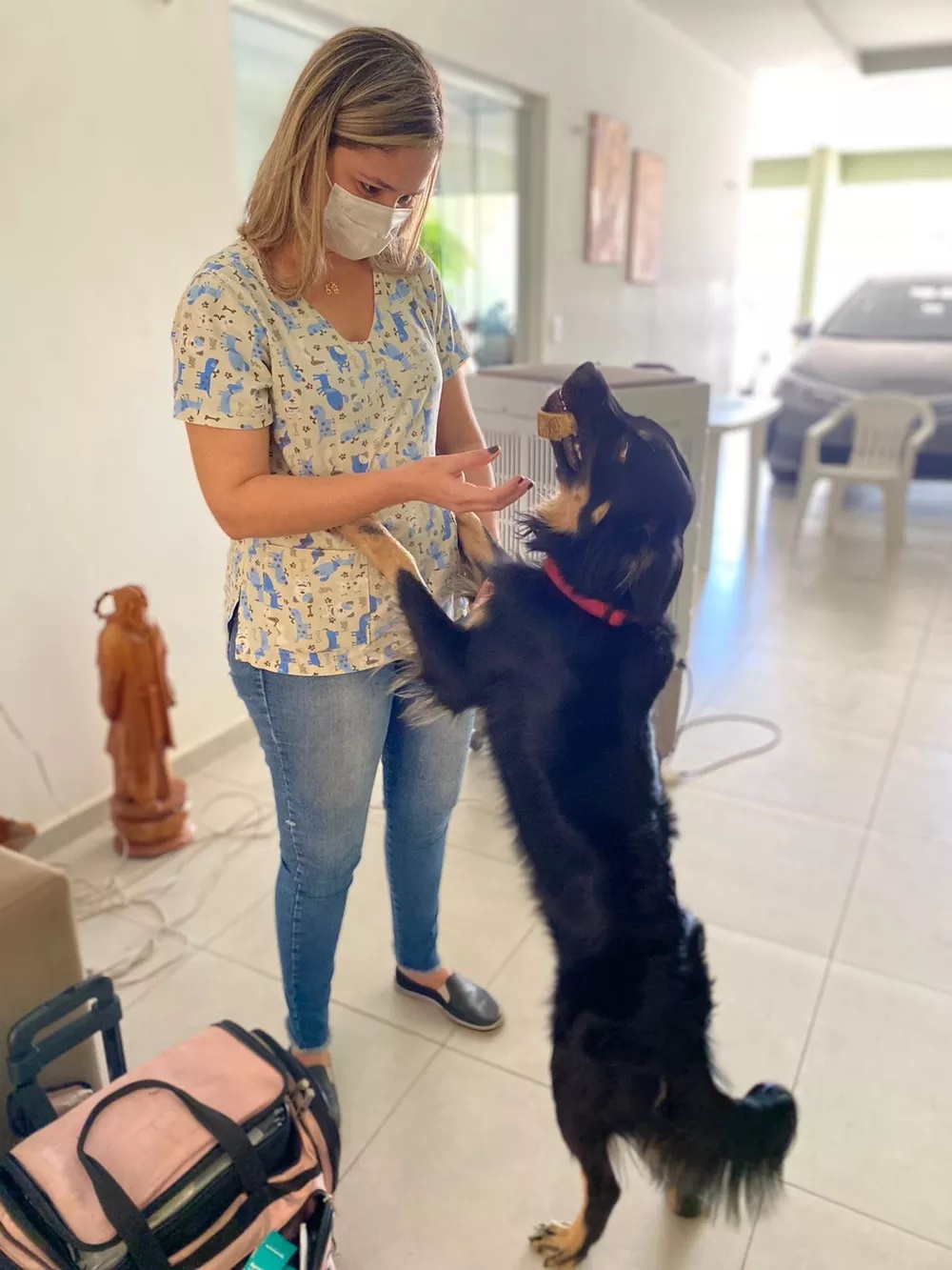 Cachorro fica em apuros e ganha abraço de veterinária para se acalmar 