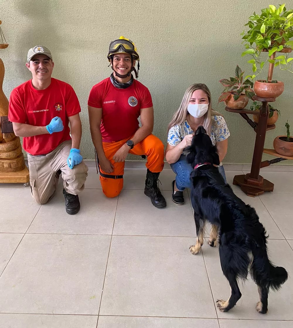 Cachorro fica em apuros após prender osso na boca 