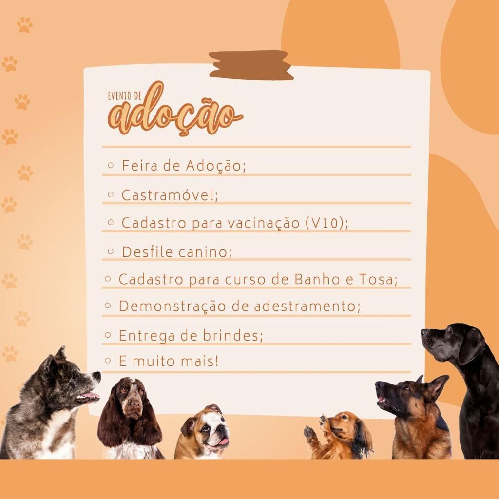  Evento pet fornece serviços gratuitos e feira de adoção de animais em Salvador; confira como participar 