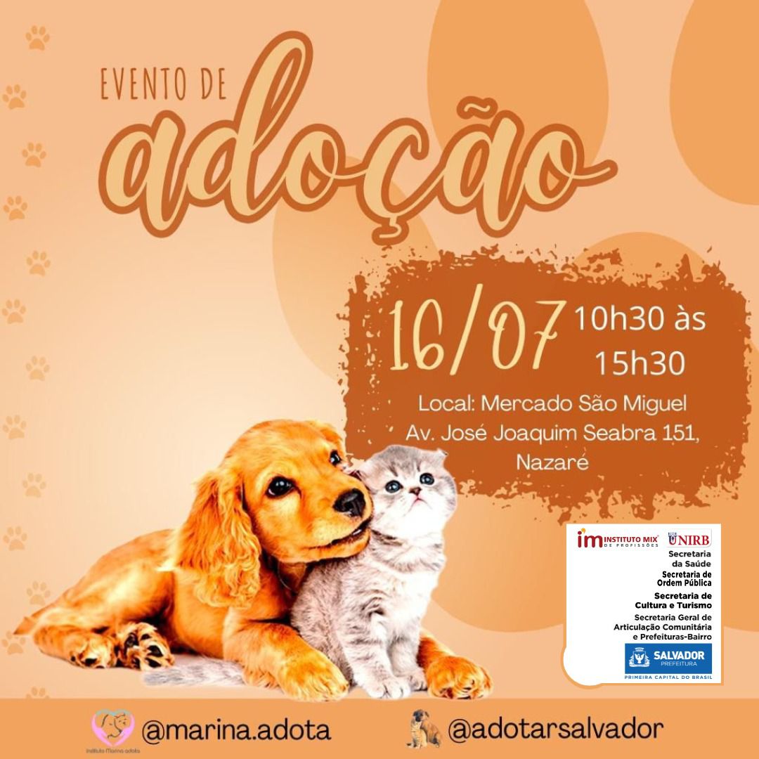Evento pet fornece serviços gratuitos e feira de adoção de animais em Salvador