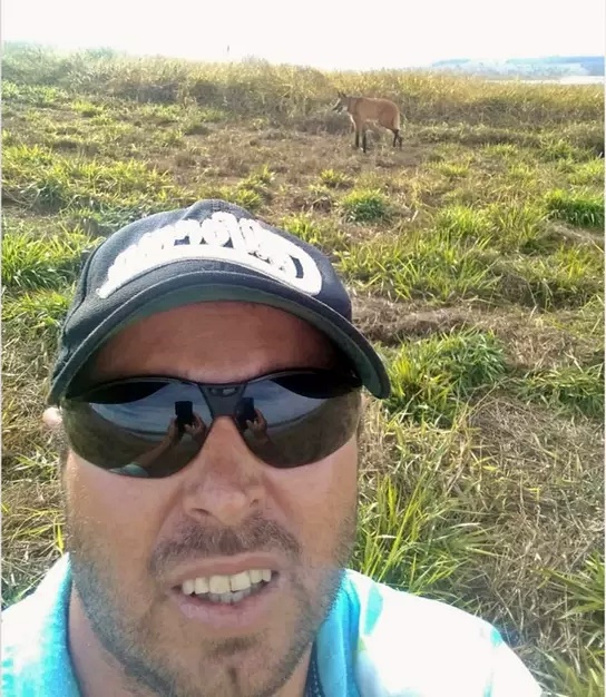 Amigos? Homem faz selfie com lobo-guará minutos antes de animal tomar atitude
