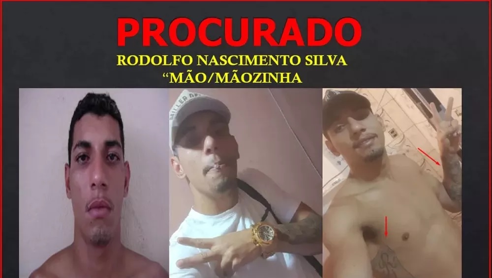 Reprodução