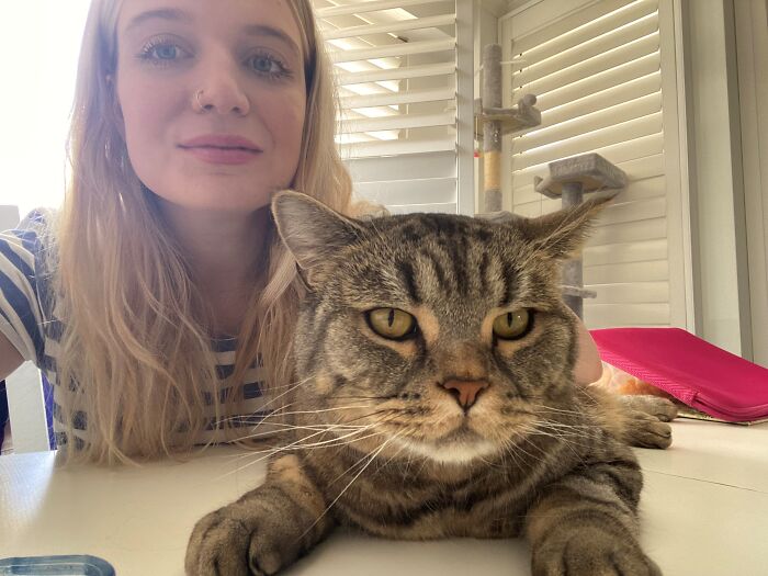 Mulher se torna babá de gatos para viajar pelo mundo e economiza bolada com serviço; saiba quanto