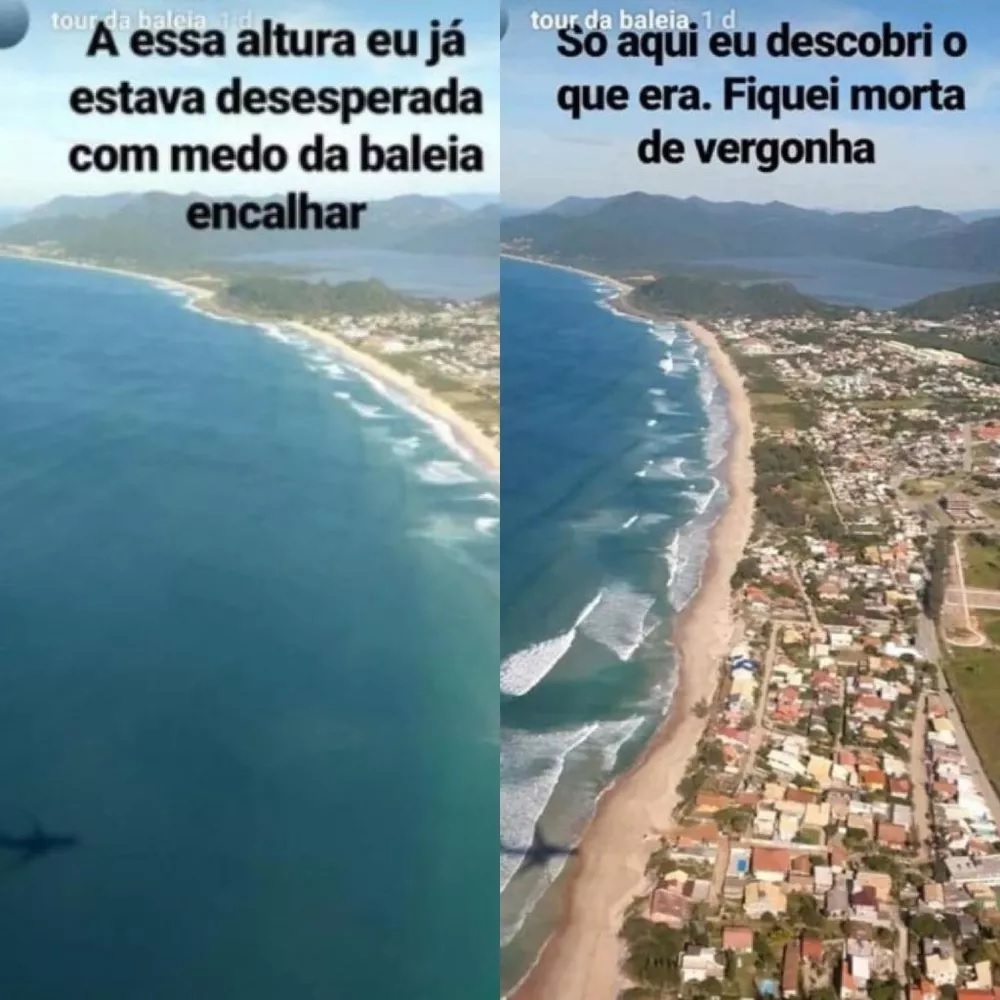 Redes sociais